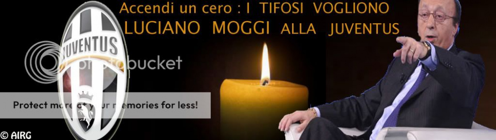 moggi.jpg