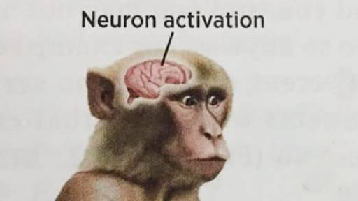 Neuron Activation by AhmadAF Sound Effect - Meme Button - Tuna
