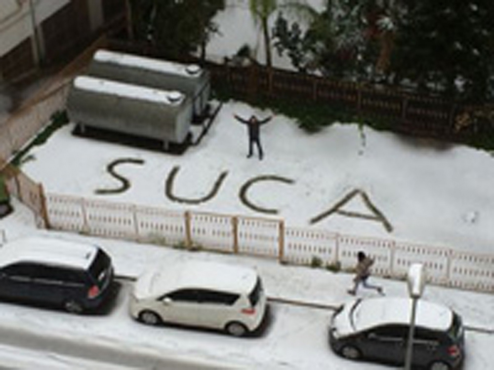 sucaH-1.jpg