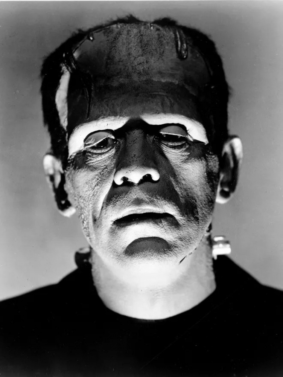 1390446683000-KARLOFF-FRANKENSTEIN-TIGHT-2851305.jpeg