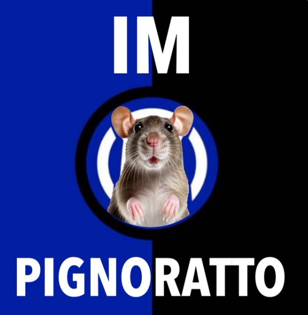 pignoratto.png.aea125c2f193685e9a910d752942d7dd.png